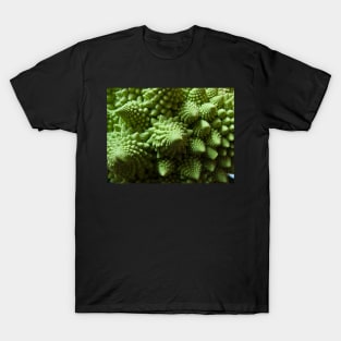 Green Romanesco cauliflower T-Shirt